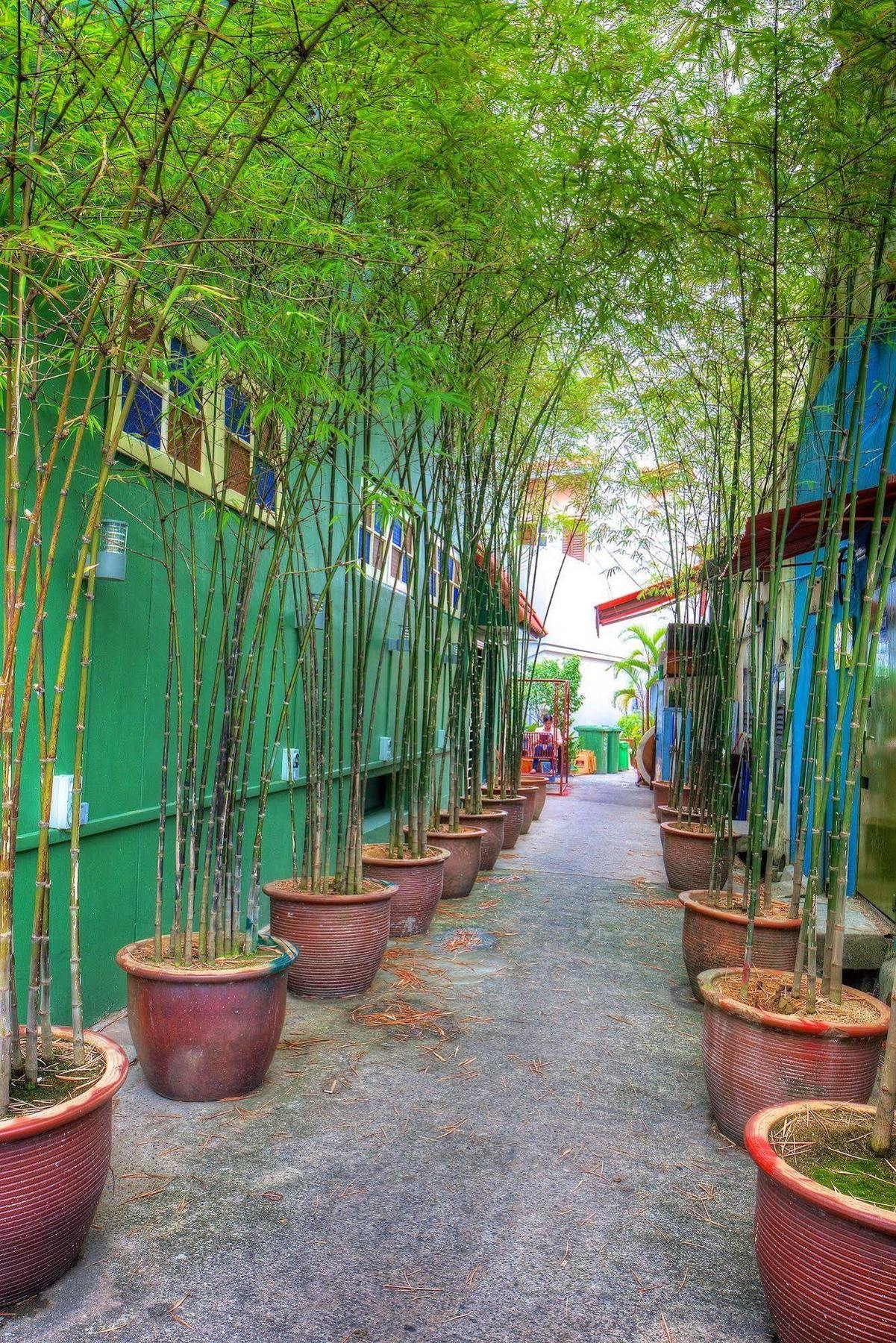 Superb Hostel Singapore Buitenkant foto